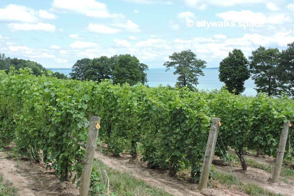 Finger Lakes wineries
